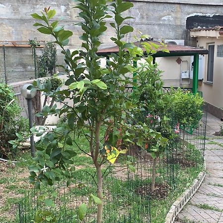B&B Civitavecchia La Casetta Con Giardino المظهر الخارجي الصورة